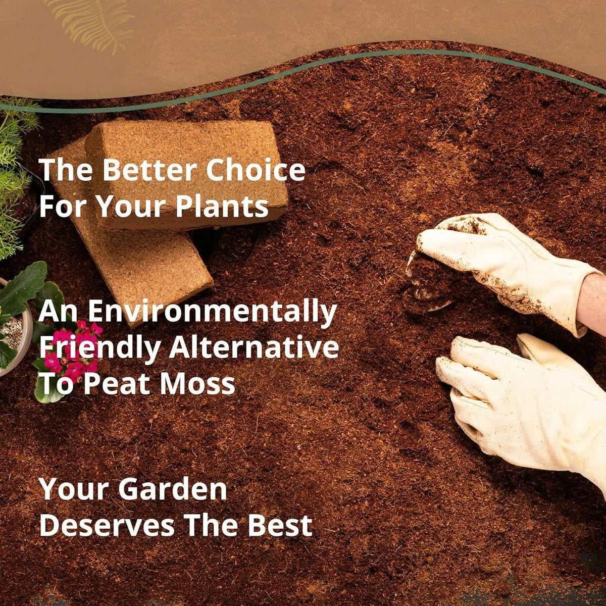 Stop Killing Your Plants With Bad Soil.