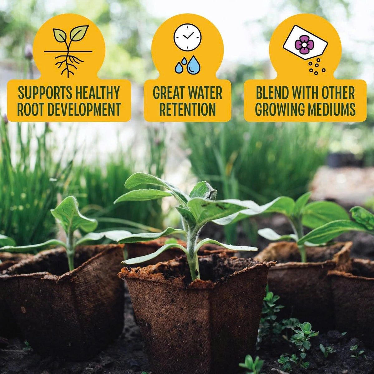 Stop Killing Your Plants With Bad Soil.